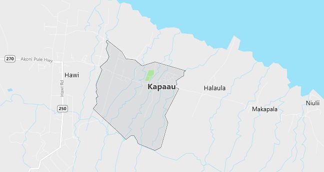 Map of Kapaau, HI