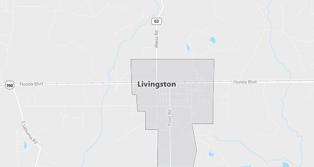 Map of Livingston, LA