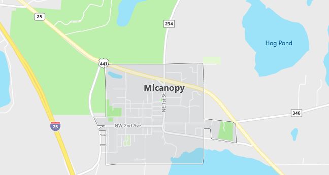 Map of Micanopy, FL