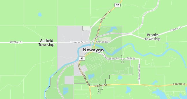 Map of Newaygo, MI