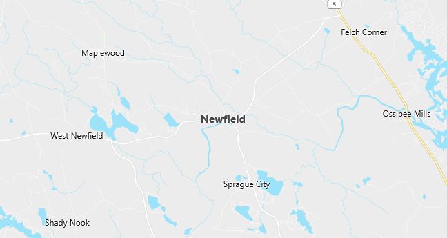 Map of Newfield, ME