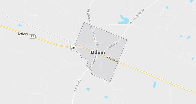 Map of Odum, GA