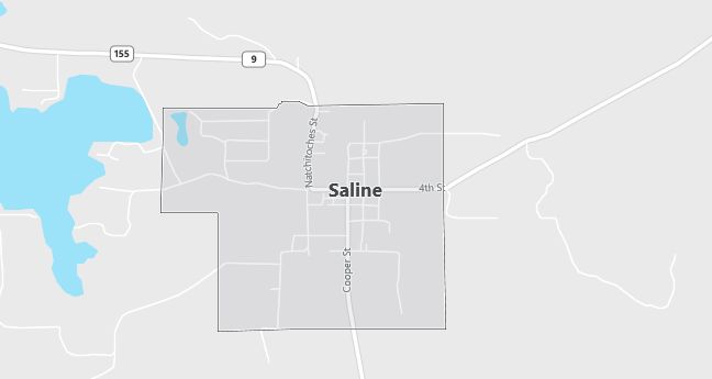 Map of Saline, LA