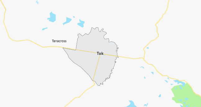 Map of Tok, AK