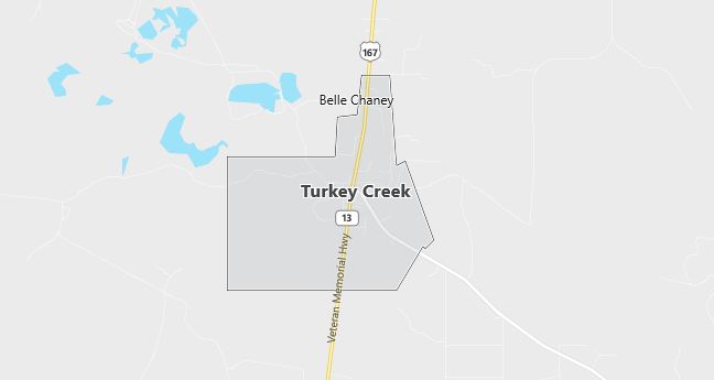 Map of Turkey Creek, LA