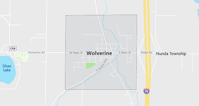 Map of Wolverine, MI