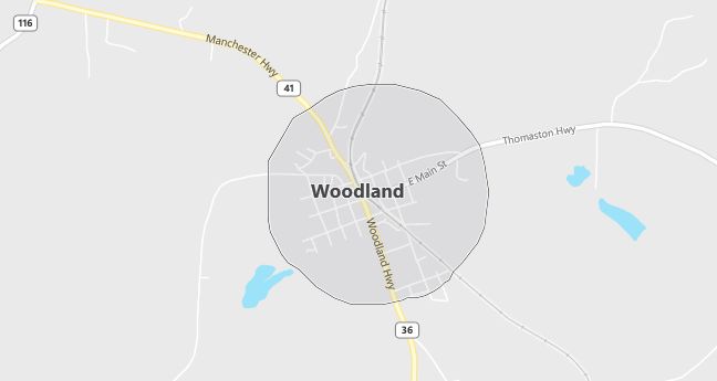 Map of Woodland, GA