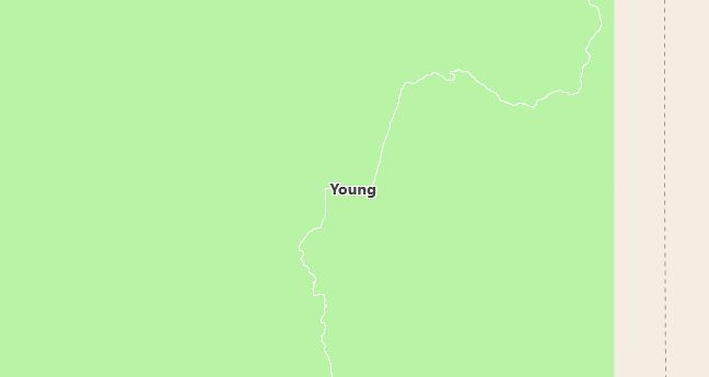 Map of Young, AZ