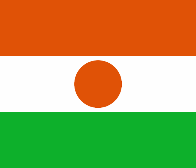 Niger Flag