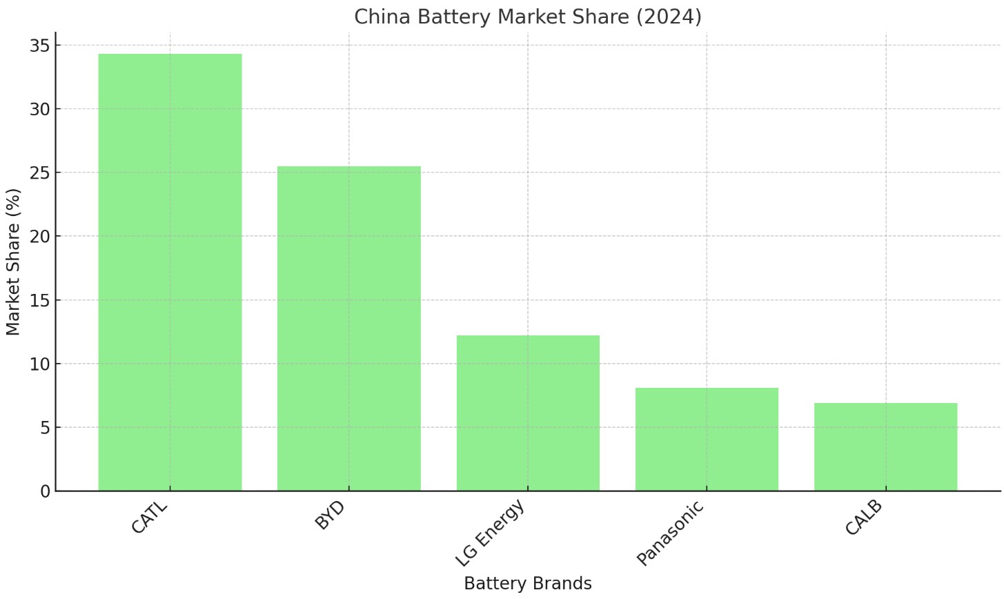 China Battery Market Share